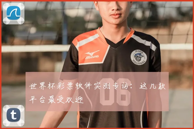 世界杯彩票软件实测专访:这几款平台最受欢迎