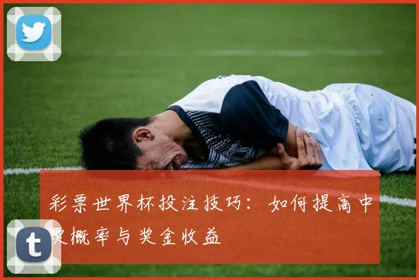 彩票世界杯投注技巧：如何提高中奖概率与奖金收益