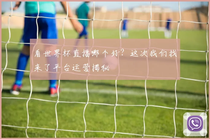 看世界杯直播哪个好?这次我们找来了平台运营揭秘