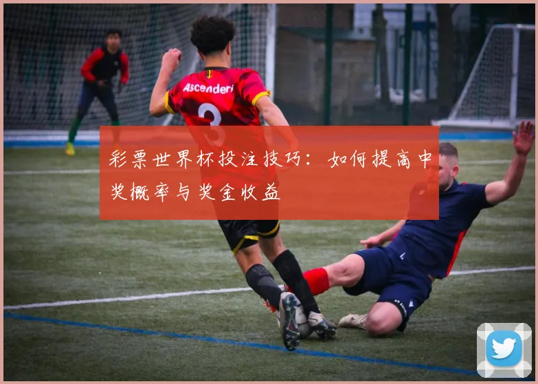彩票世界杯投注技巧：如何提高中奖概率与奖金收益