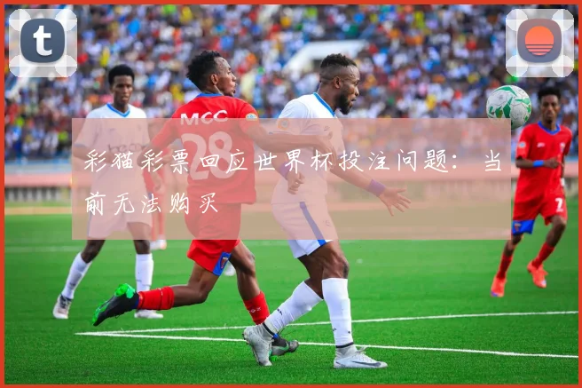彩猫彩票回应世界杯投注问题：当前无法购买