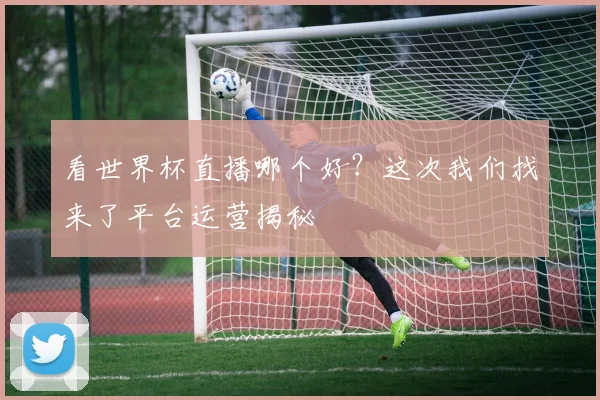看世界杯直播哪个好?这次我们找来了平台运营揭秘
