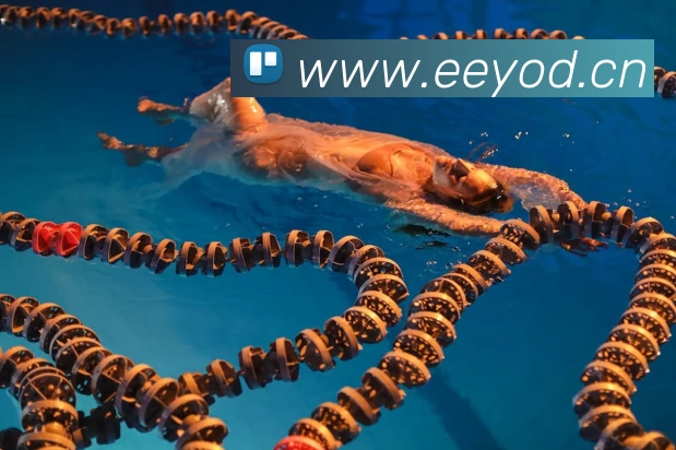 多媒体互动体验