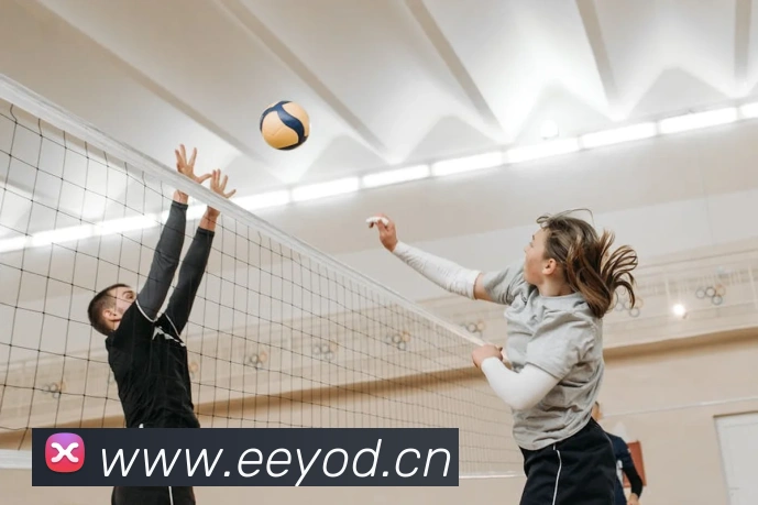 九游j9备用官网APP 高清赛事图